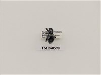 藏品(大圓斑球背象鼻蟲)的圖片